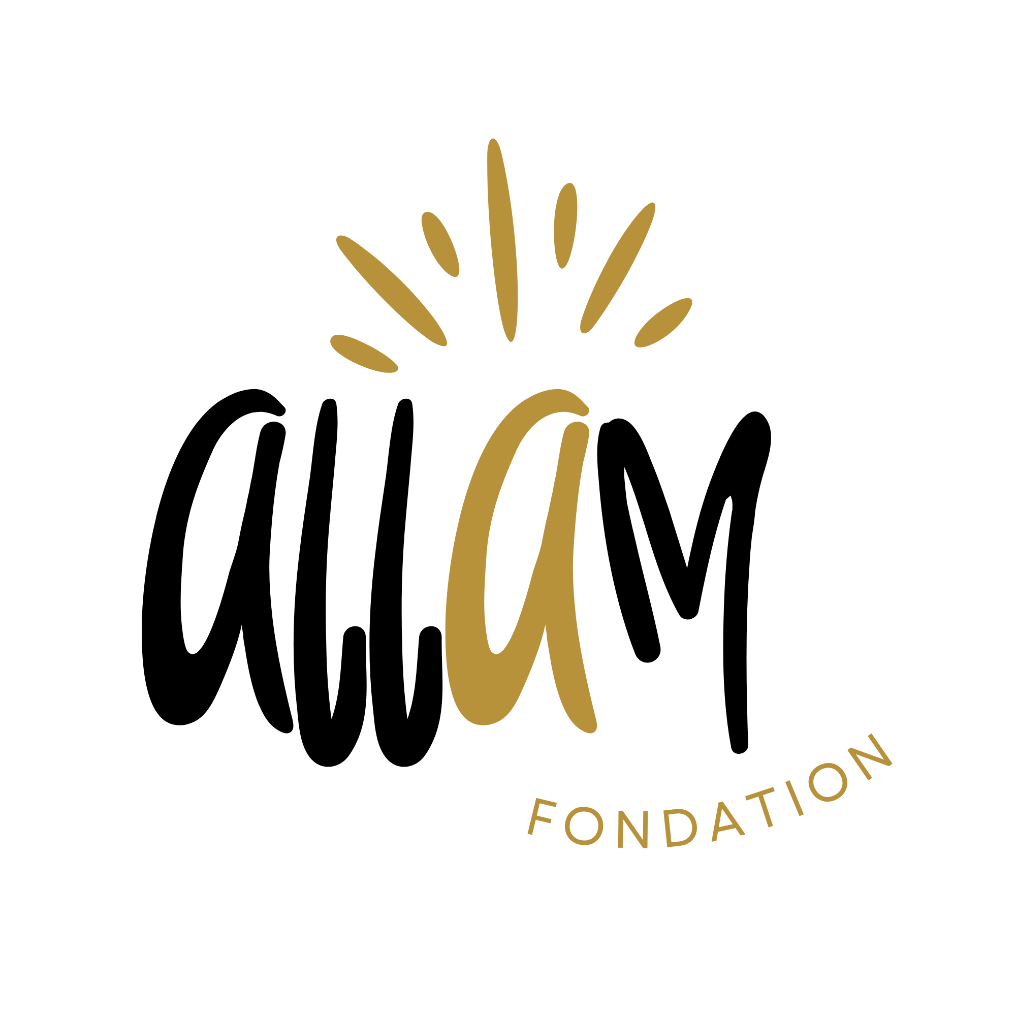 Fondation Allam - Association humanitaire musulmane